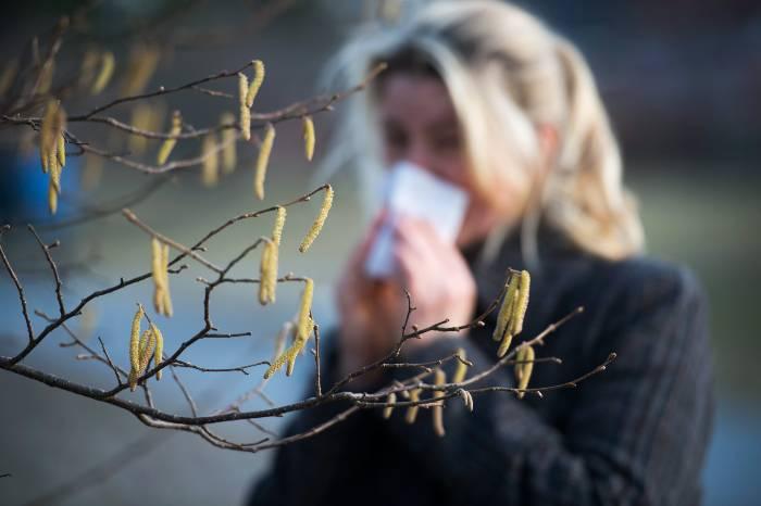 Läkare: Så vet du om du har pollenallergi eller vanlig influensa