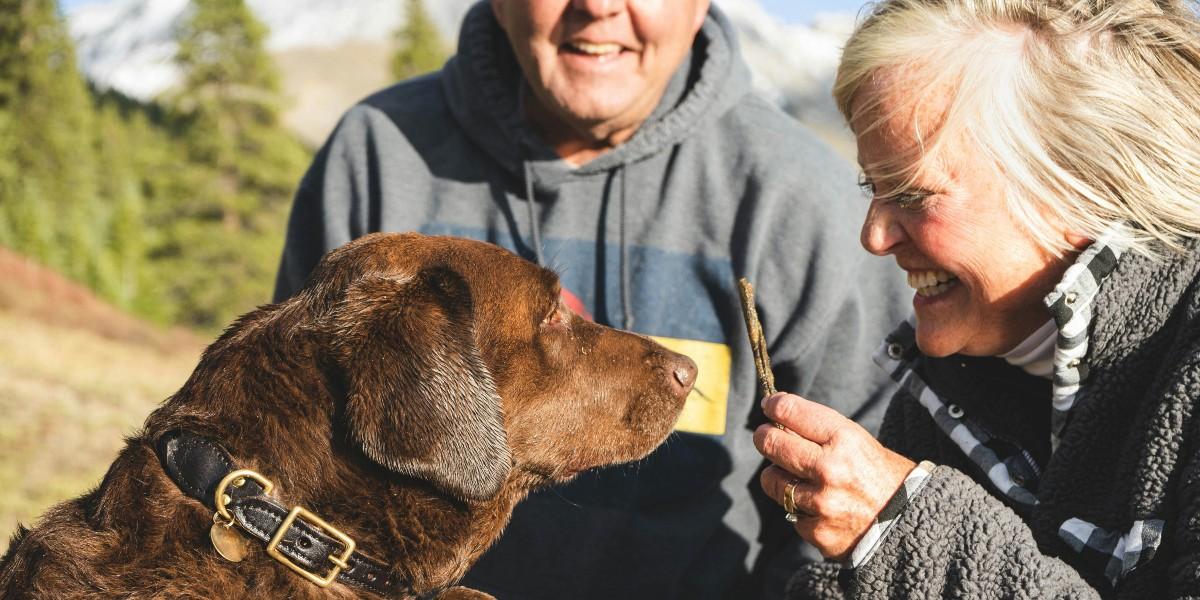 Vill du få nya vänner? Skaffa hund