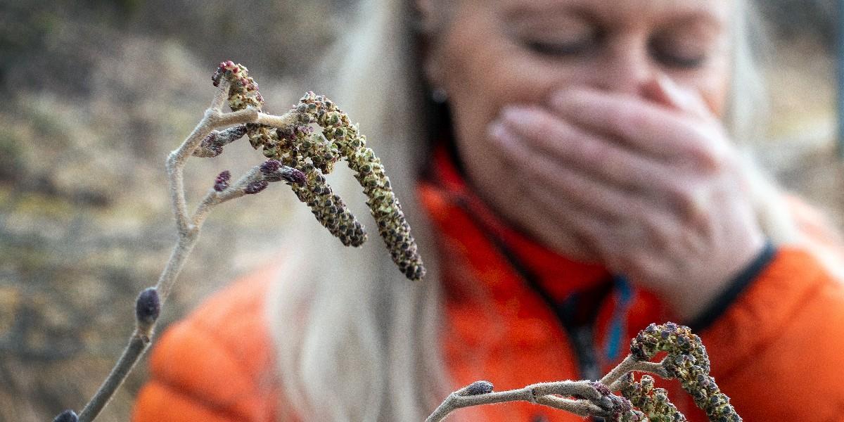 Nu kan fler få vaccin mot pollenallergi