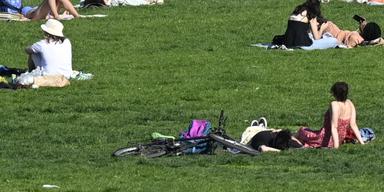 Människor sitter i solen på en gräsmatta. värmen