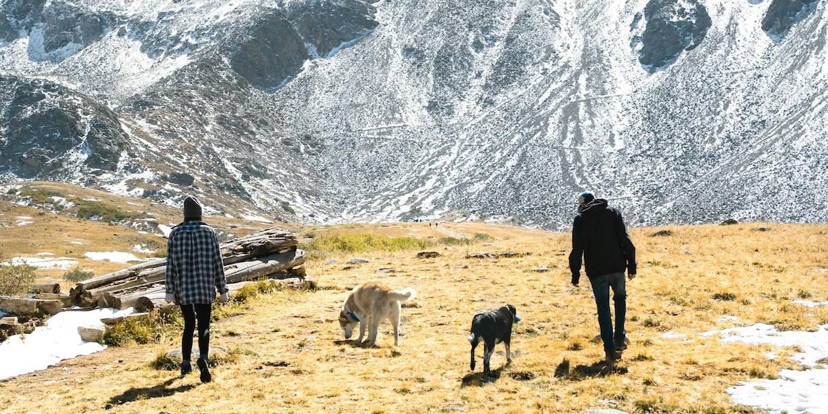 Fjällvandring med hundar. Om du ska ut på vandring med din hund är det viktigt att du förbereder dig ordentligt och packar ned allt ni båda behöver, här är några tips från en veterinär