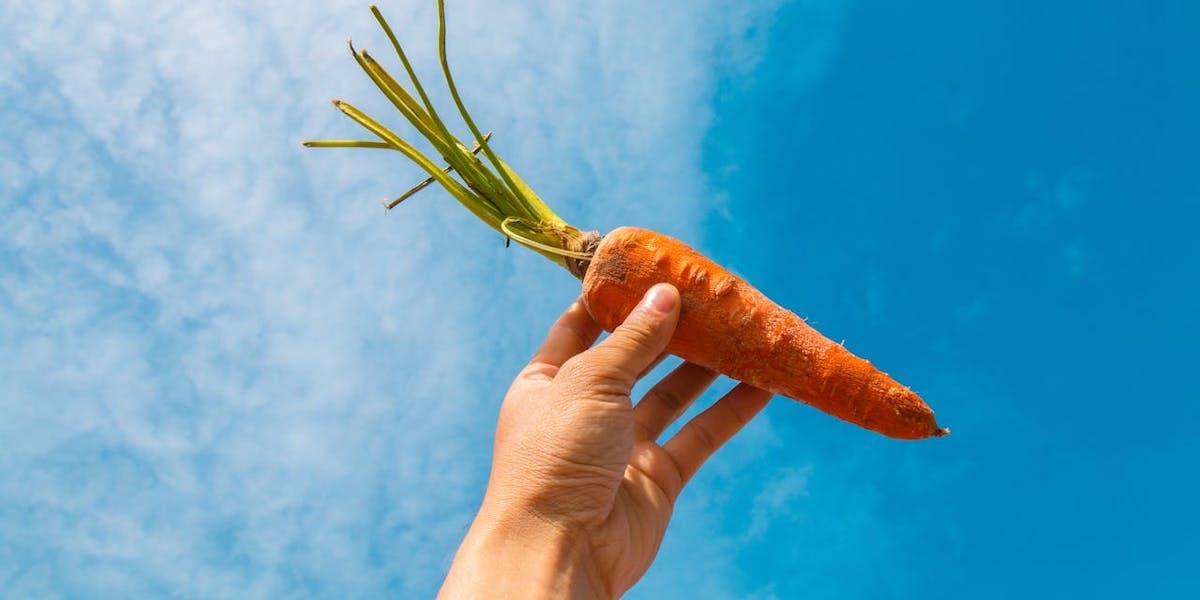 En morot hålls upp i luften. Enligt en ny opublicerad studie kan tre 100 grams-portioner morötter i veckan ge en betydande ökning av viktiga näringsämnen.