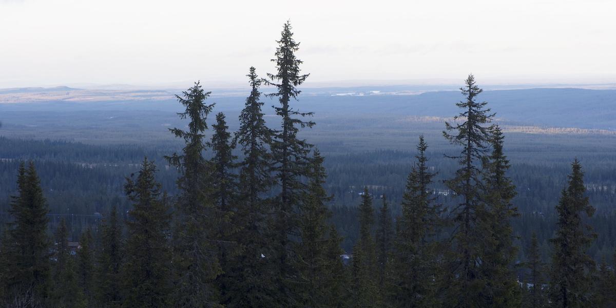 Sälenfjällen. Malung-Sälens kommun ansvarar för lederna i Sälenfjällen och det kostar en hel del så kommunens ordförande är positiv till att införa en turistskatt