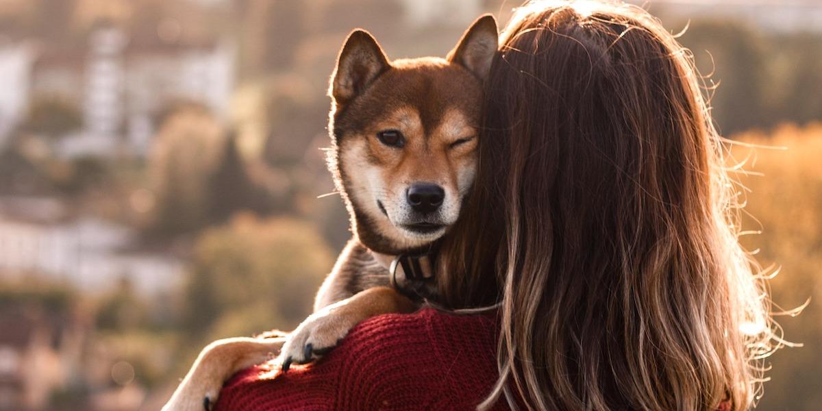 En kvinna kramar en hund. Det finns massor av studier som visar att hundar och andra husdjur är bra för oss och får oss att må bättre, både fysiskt och psykiskt