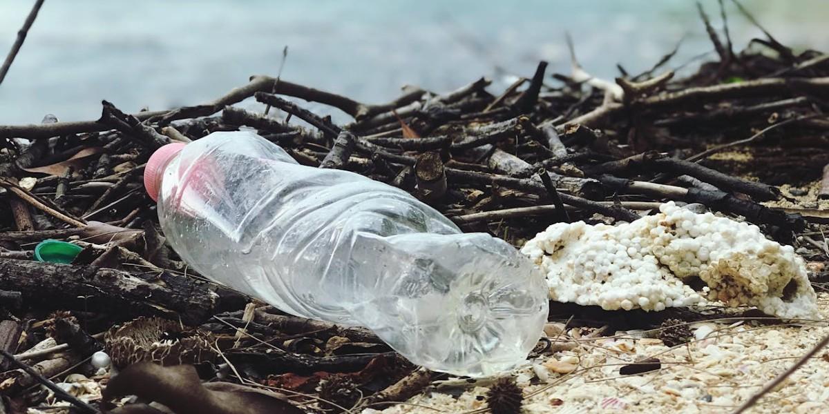 Varning: Det finns plast i din hjärna