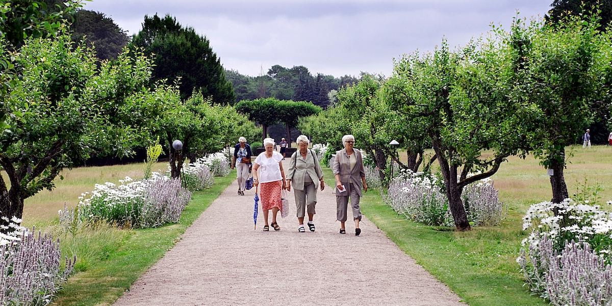 En grupp kvinnor promenerad. Promenader är bra motion, promenera gärna tillsammans, då går du ofta både längre och snabbare, vilket förbränner fler kalorier