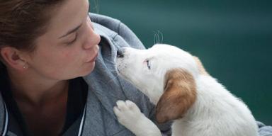 en kvinna och en hund ser på varandra. När hundar och människor ser varandra i ögonen kan deras hjärnor synkronisera, det visar en ny studie