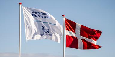 Novo Nordisks och Danmarks flaggor. Den danska läkemedelsjätten Novo Nordisk har nu genomfört en studie som visar att deras läkemedel Saxenda kan hjälpa barn att gå ned i vikt