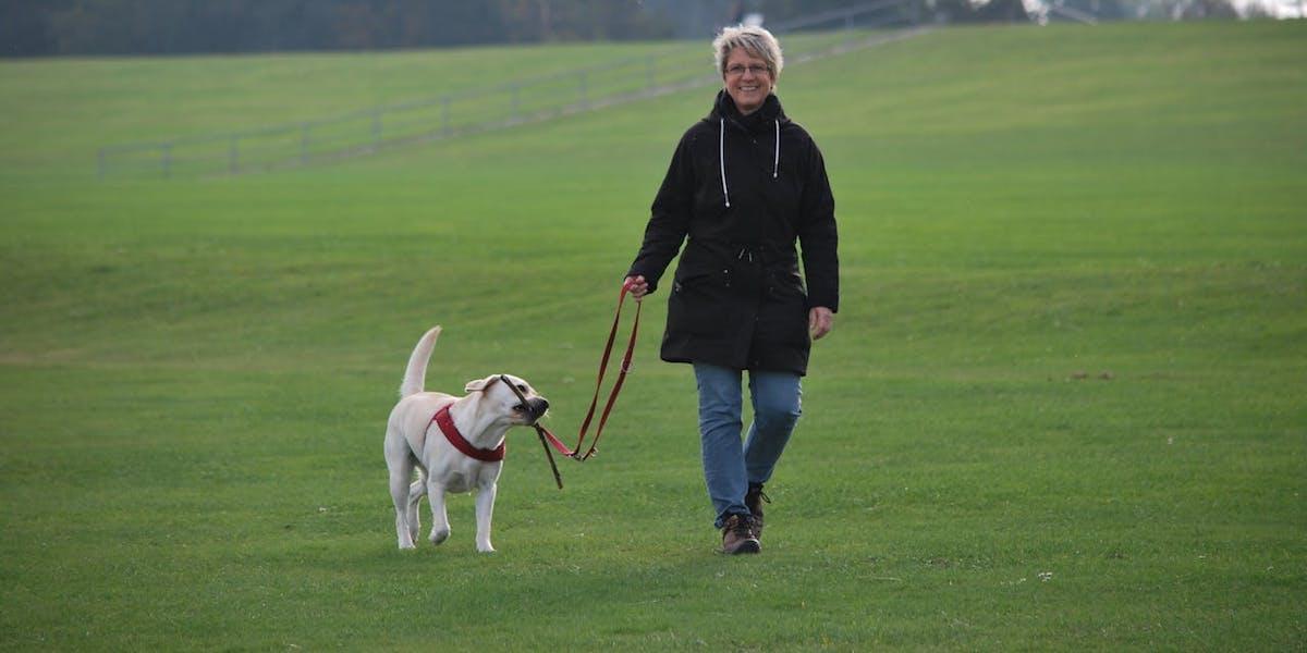 En kvinna går med sin hund på en äng. Det är bättre att gå med en reaktiv hund i områden med mycket plats, hellre en öppen park eller en äng än ett bostadsområde, det menar en hundtränare