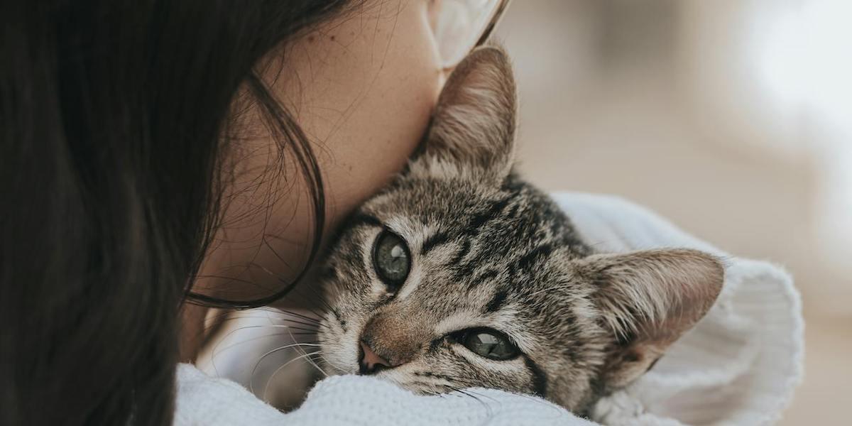 en kvinna håller om sin katt. Katter har förmågan och de nödvändiga egenskaper som behövs för att bilda djupa sociala band med människor, det visar en studie