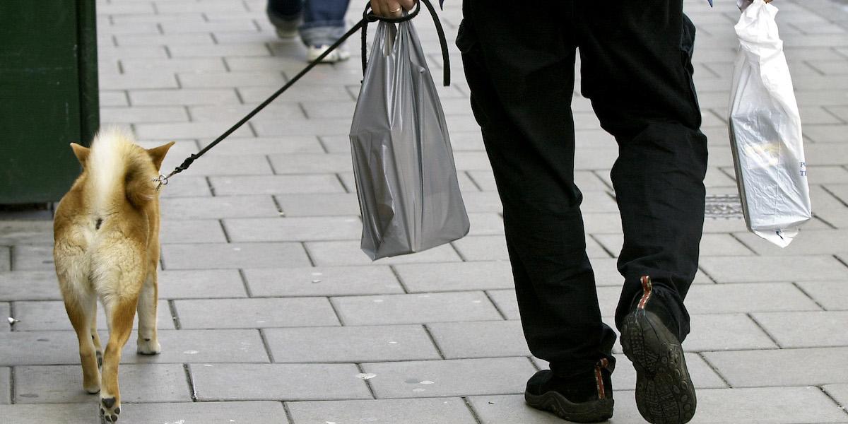 En man går med sin hund och bär två plastkassar.