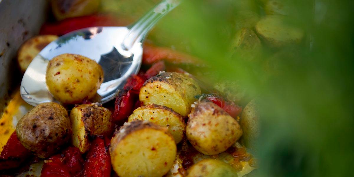 Potatis. Kolhydrater i rotknölar, som potatis, har ätits av människor så länge att de bidragit till utvecklingen av våra stora hjärnor