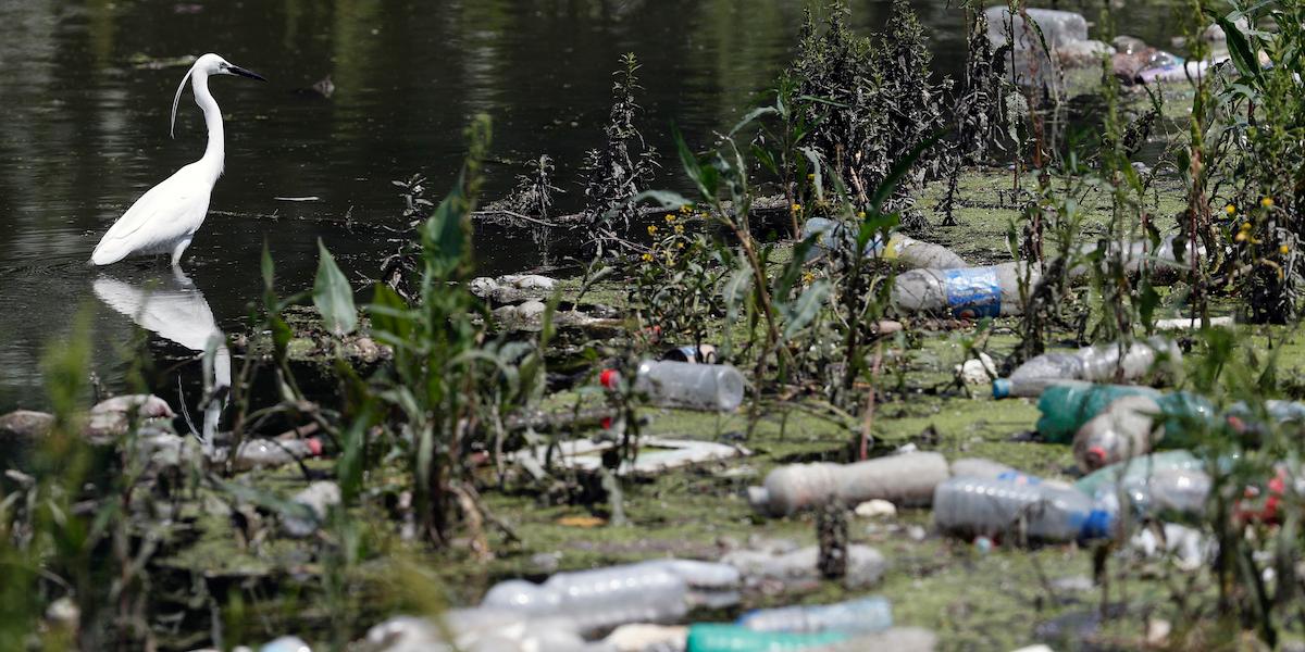 PFAS finns överallt i vår vardag – men även i våra kroppar.