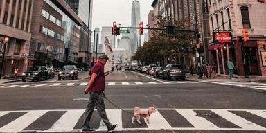 En man och hans hund på ett övergångsställe i New York. Ett nytt lagförslag vill ge New York-bor rätt till betald ledighet för att stanna hemma med sina husdjur när de är sjuka