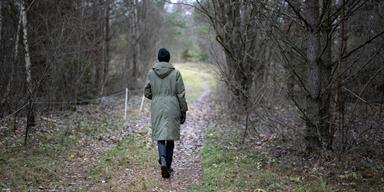 En kvinna promenerar i skogen. En forskare har undersökt hur hjärnan och vår stressnivå påverkas av en skogspromenad jämfört med en promenad i stadsmiljö