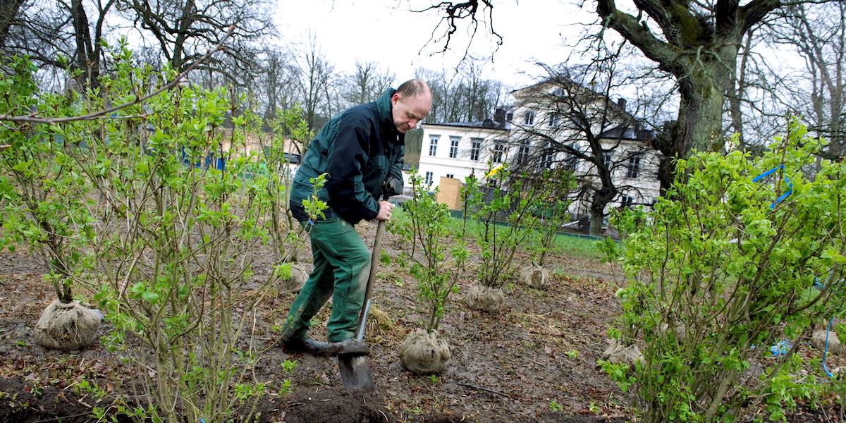 Planteringar pågår utanför Victorias och Daniels bostad Haga slott. Inget du kan hyra av Kungliga Djurgårdsförvaltningen dock.