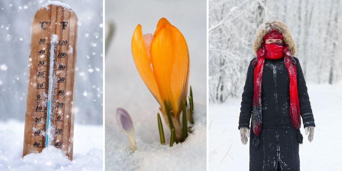 En termometer i snö som visar noll grader, en krokus i snä och en kvinna i vinterväder med vinterkläder. Det kan dröja tills vi får riktig vårvärme. Till helgen väntas sol i stora delar av landet men det kommer fortfarande vara kallt, runt noll grader i södra Sverige och kallare på nätterna