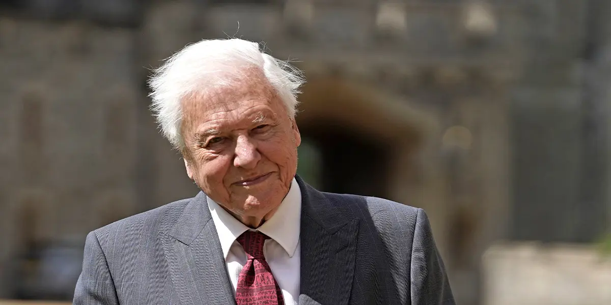 David Attenborough