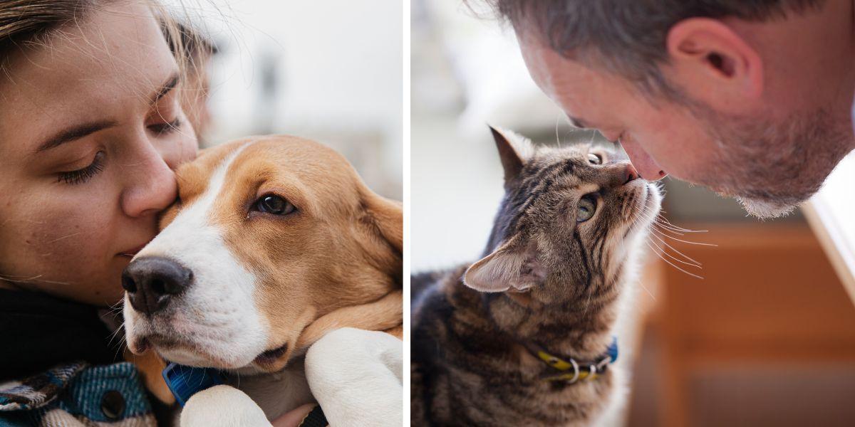 En kvinna pussar en hund och en katt pussar en man. Du får mycket kärlek från ett husdjur, men det det kostar mycket pengar