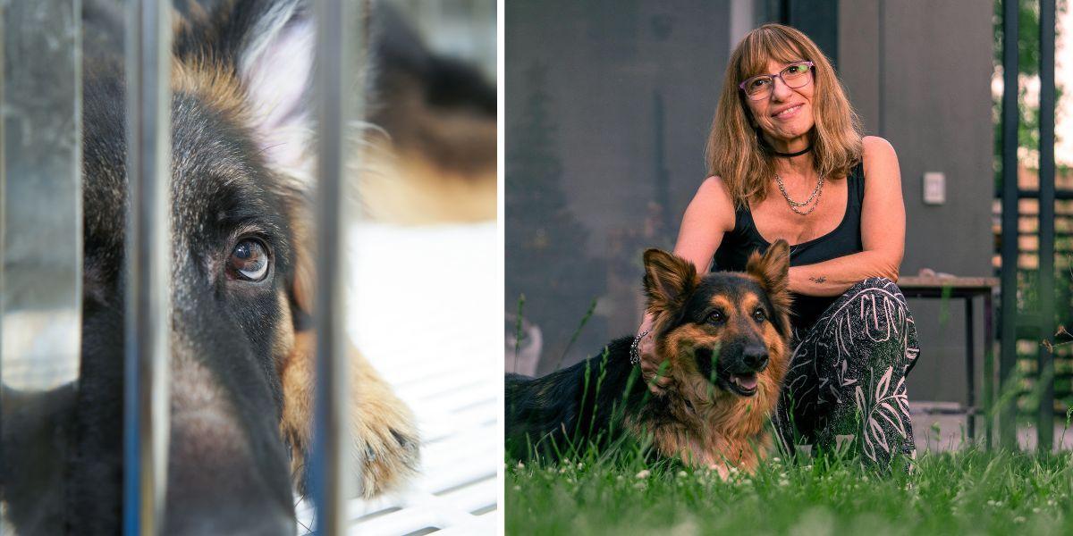 En hund på ett hundstall och en kvinna med sin hund. När hunden Caisa kom till det danska hundstallet hade hon farit illa i sex år, hu har hon fått komma till en my matte och mår bra. Hundarna och kvinnan på bilden har ingenting med texten att göra.