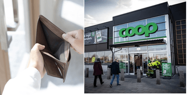 Coop