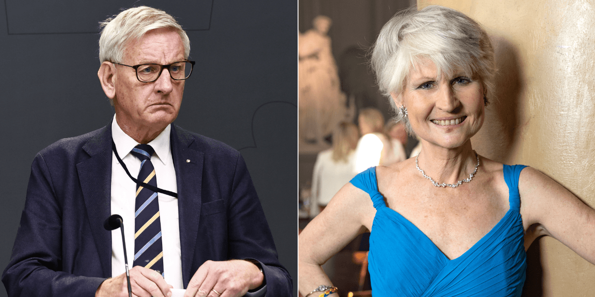 Bildt