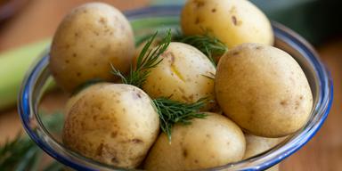 Kokt färskpotatis