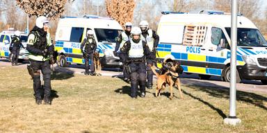 Polishundar och polisbilar