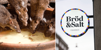 Bröd & Salt