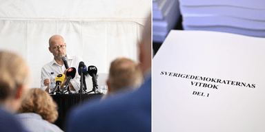 sverigedemokraterna