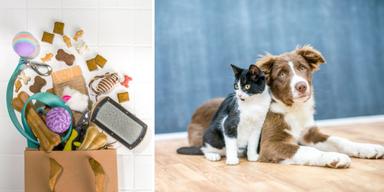 En påse med saker till husdjur och en katt och en hund
