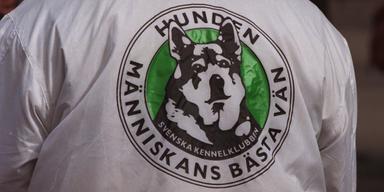 En person med vit t-shirt med en bild av en hund och med texten: Hunden - människans bästa vän, Svenska Kennelklubben.