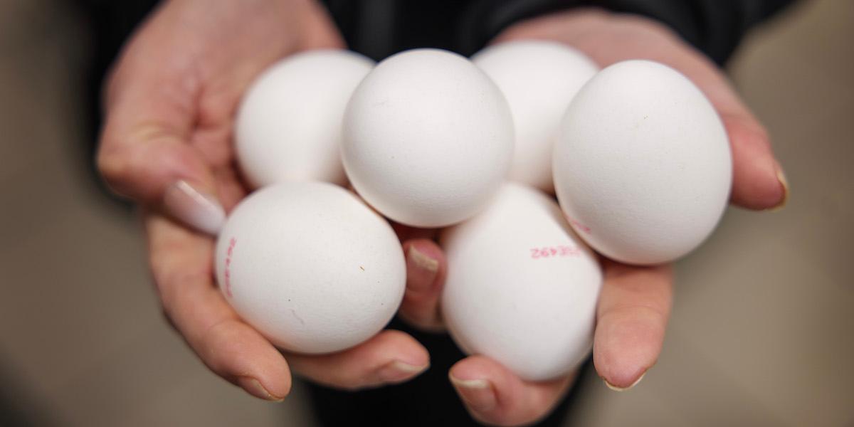 Ägg, det tros vara smittkällan bakom ett större utbrott av salmonella.