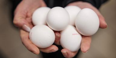 Ägg, det tros vara smittkällan bakom ett större utbrott av salmonella.
