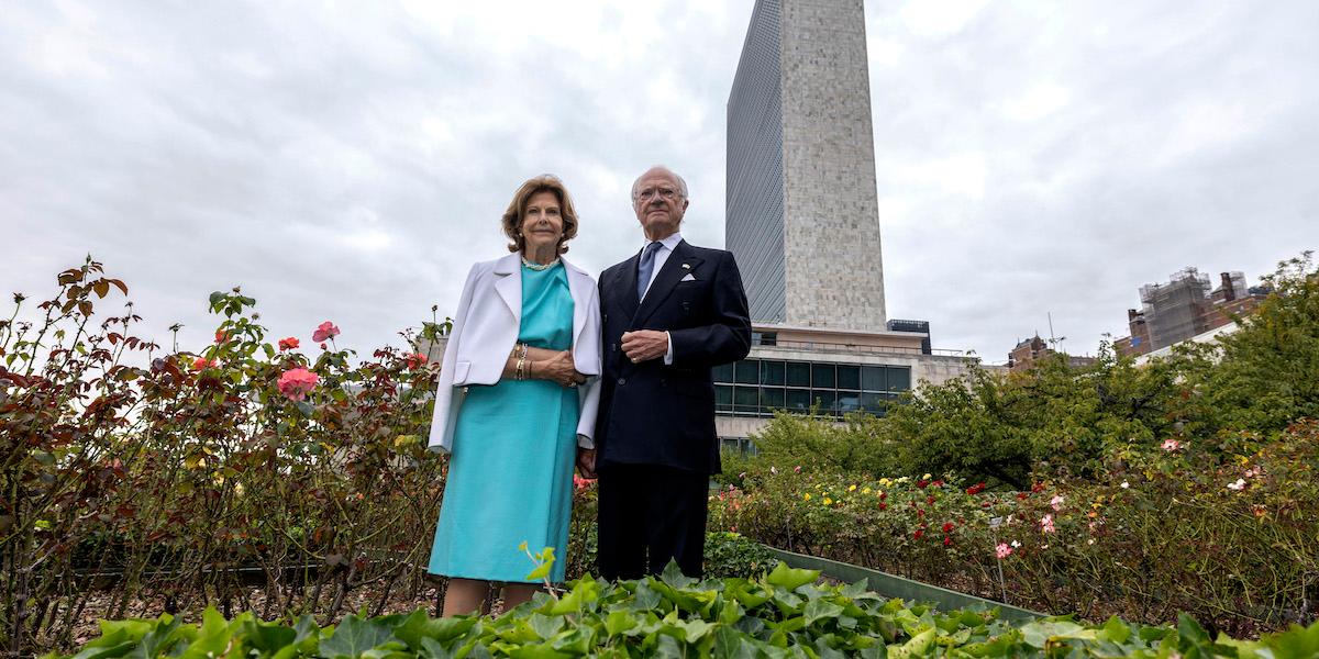 Kung Carl Gustaf XVI och drottning Silvia i FN:s rosenträdgård den 22 september 2025. Kungaparet är i New York för firandet av FN:s 80-årsjubileum, ett exempel på statschefens och Kungafamiljens officiella funktioner.
