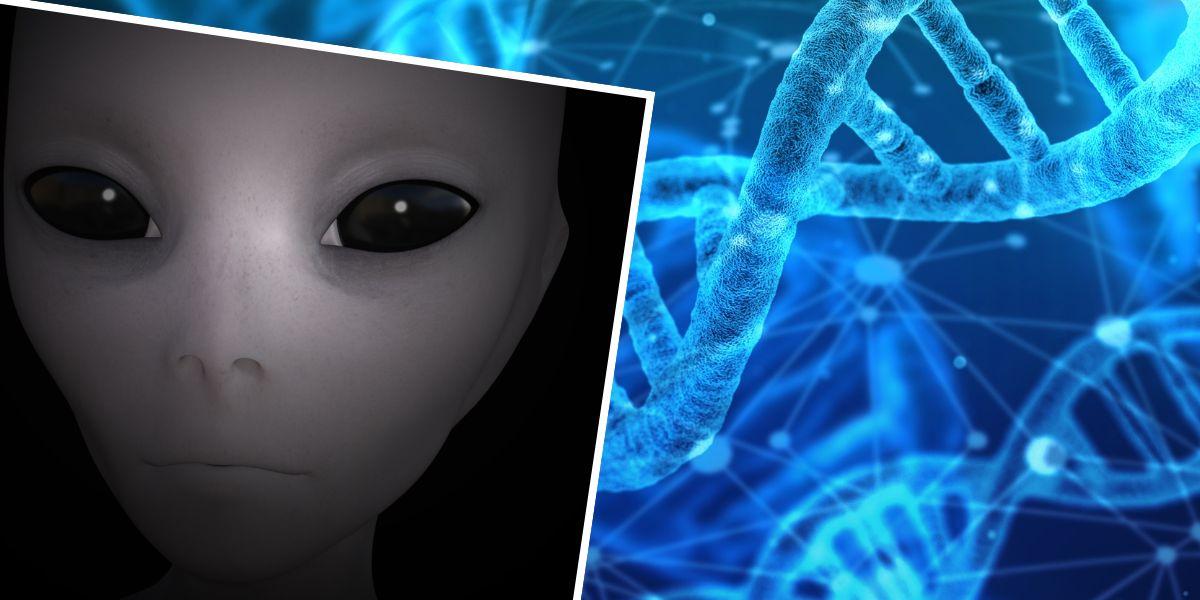 DNA