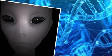 DNA