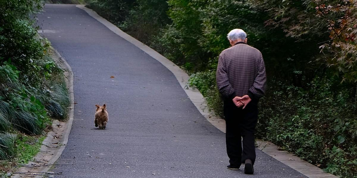 Så får djur hjälp när ägaren dör