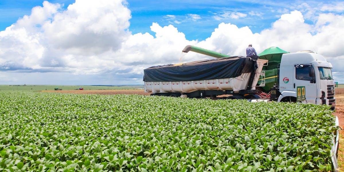 Sojaplantage i Brasilien, det har diskuterats om det är nyttigt att äta soja eller inte, några experter reder ut vad den senaste forskningen säger