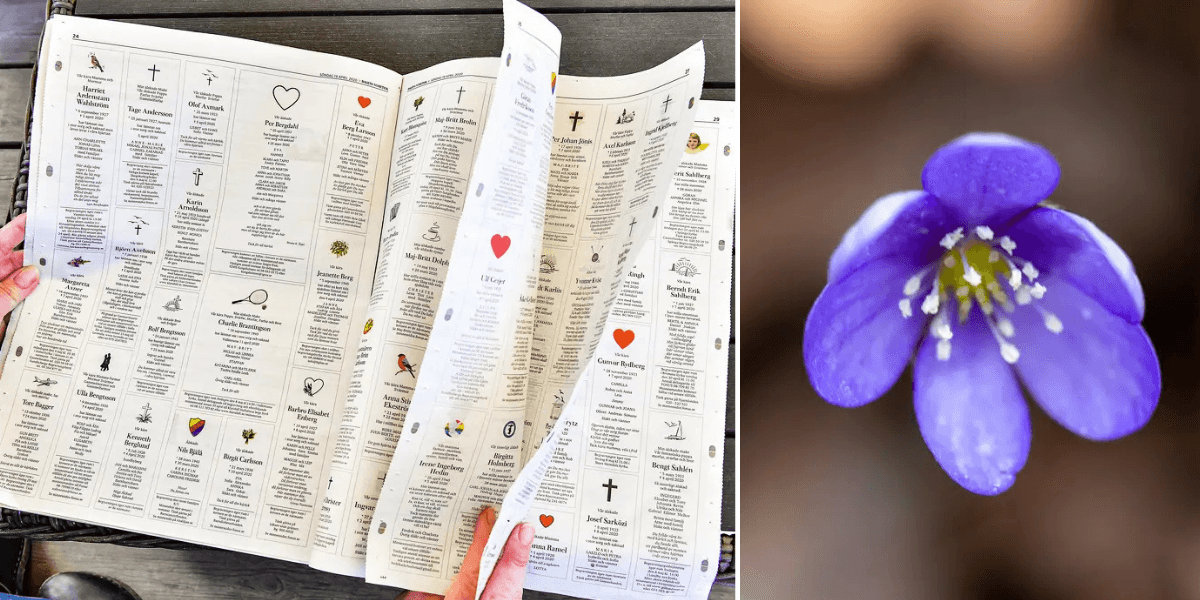 Tidning med dödsannonser, Blåsippa