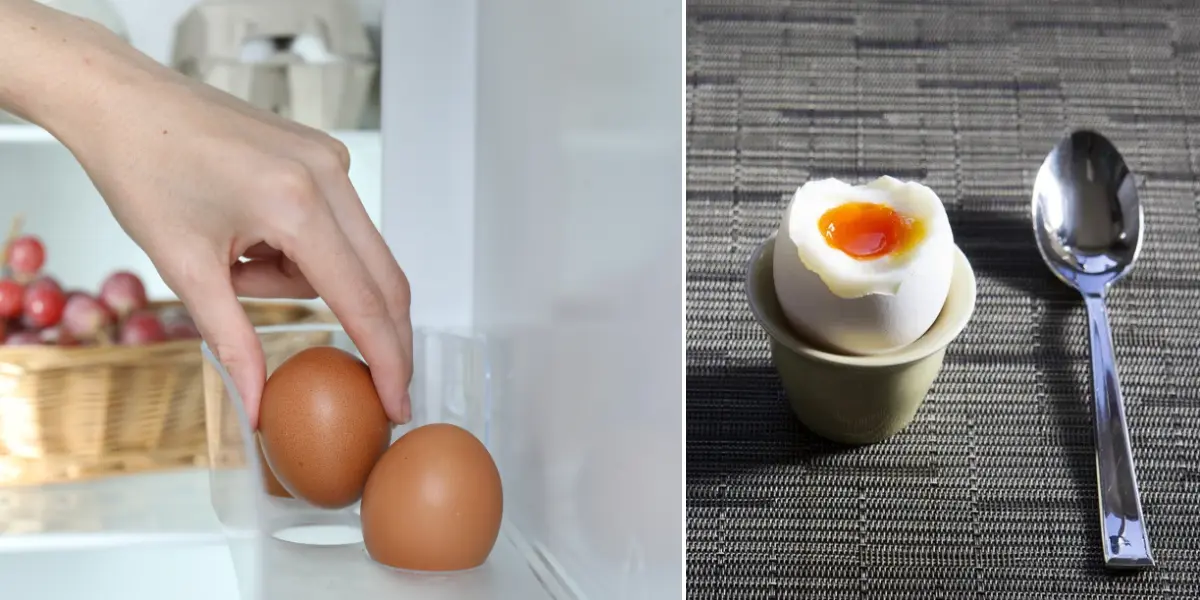 Ägg