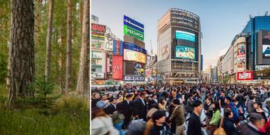 lugn skog många människor i stadsmiljö