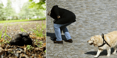 till vänster: hundbajs. till höger: Matte plockar upp bajset efter sin hund.