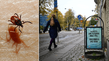En fästning till vänster och en skylt som uppmanar till vaccinering mot TBE till höger.