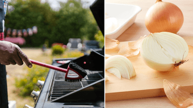 grillborste, gullök
