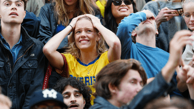 Svensk supporter