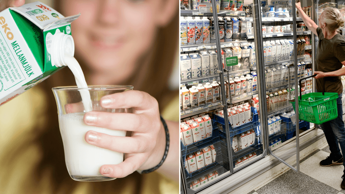 mejeriprodukter