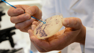 ANTIBIOTIKARESISTENTA BAKTERIER
