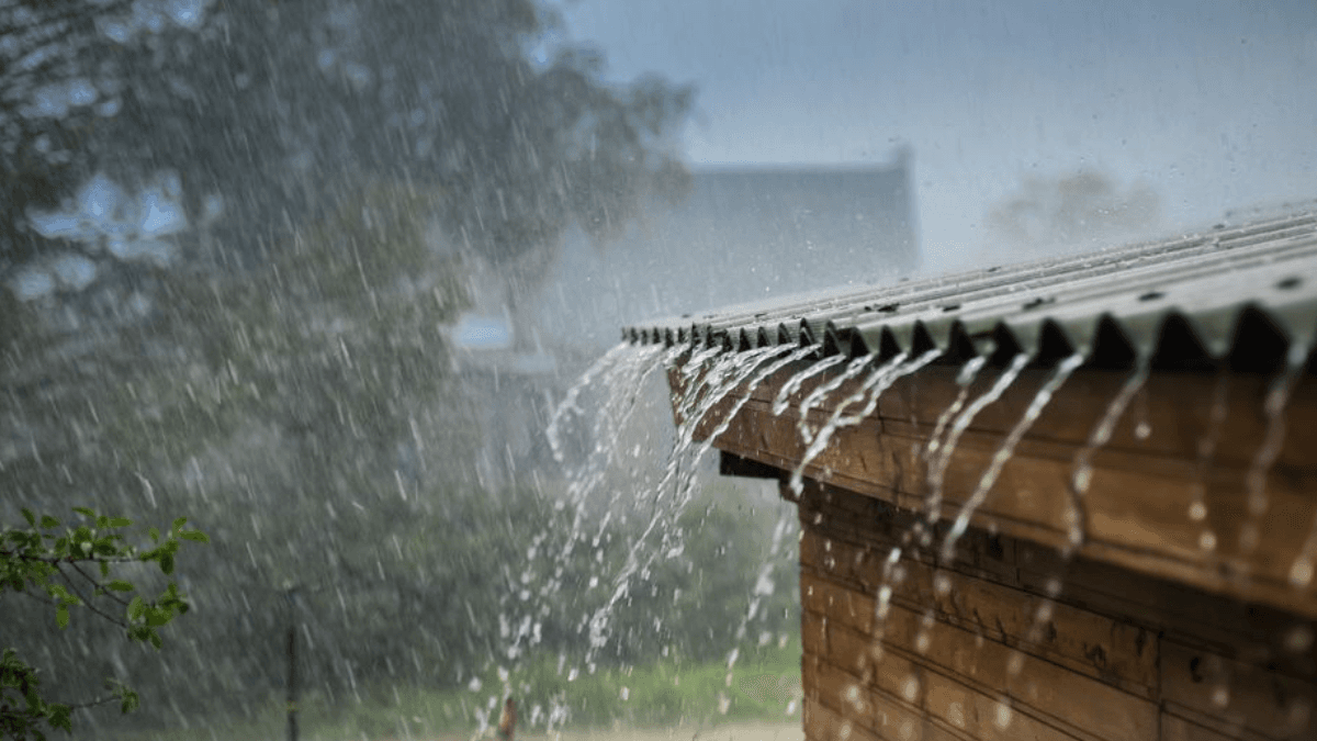 regn