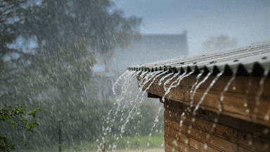 regn